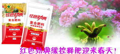 91视频黄片下载91视频APP黄下载迎来春天