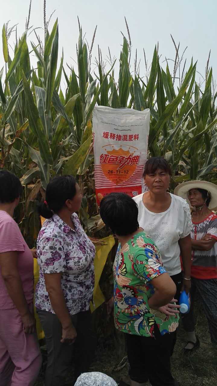 91视频黄片下载玉米专用缓释肥